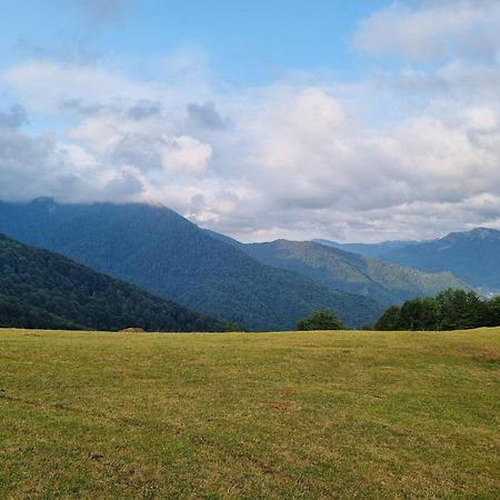 Willa Katun Lanista-Kolibe Bogavac Mojkovac Zewnętrze zdjęcie