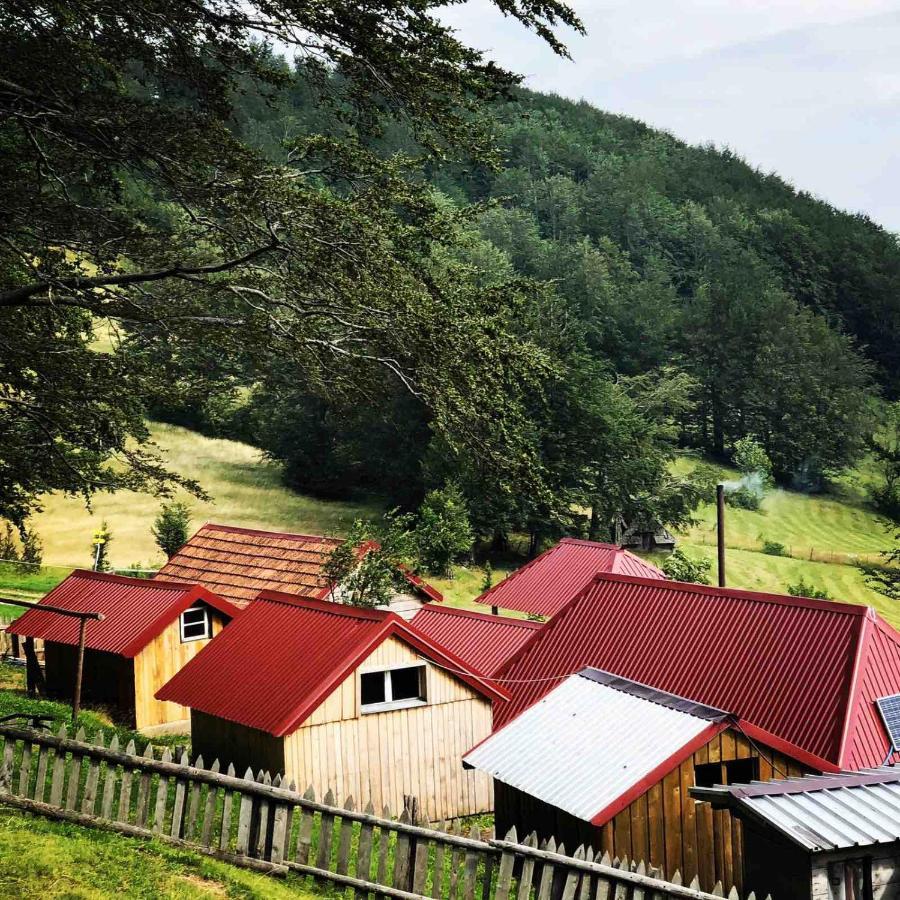 Willa Katun Lanista-Kolibe Bogavac Mojkovac Zewnętrze zdjęcie