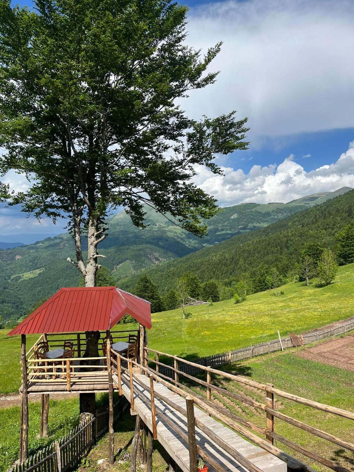 Willa Katun Lanista-Kolibe Bogavac Mojkovac Zewnętrze zdjęcie